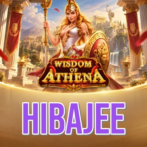 Who We Are at hibajee