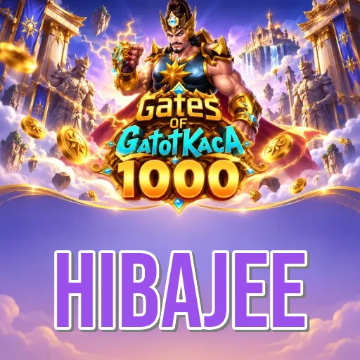hibajee Features FAQ